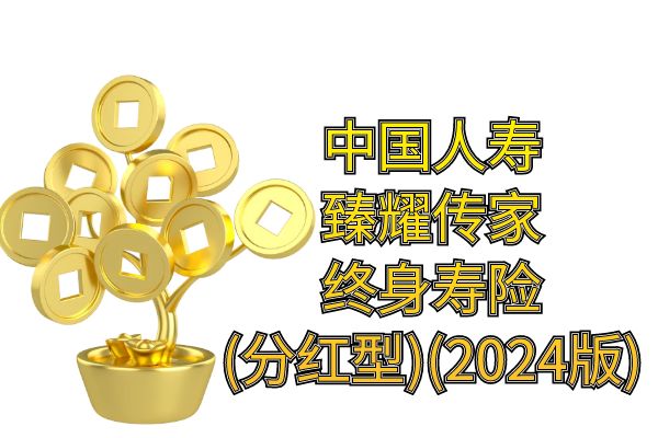 国寿臻耀传家终身寿险(分红型)(2024版)产品特点+条款+几年回本？