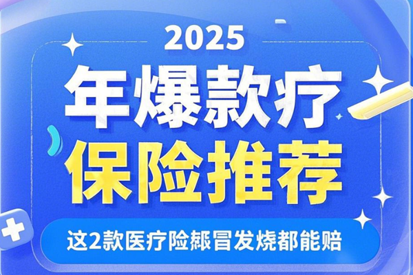 2025年爆款医疗保险推荐，这2款医疗险感冒发烧都能赔+价格便宜