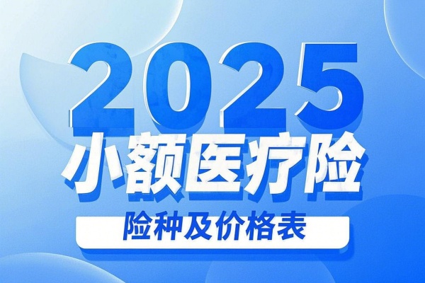 2025小额医疗险险种及价格表，2025小额医疗险哪个产品好