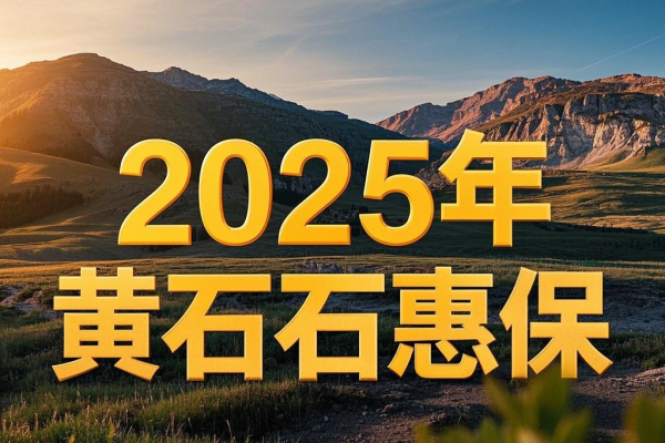 黄石市惠民保险在哪里买？2025年“黄石石惠保”100元上线啦！！