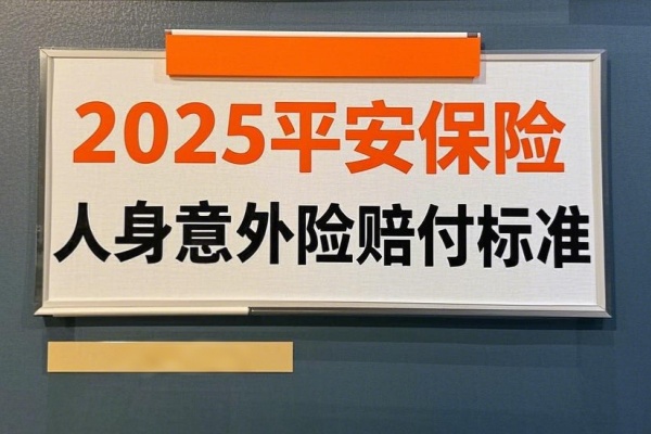 2025平安保险人身意外险赔付标准，2025平安保险人身意外险多少钱一年