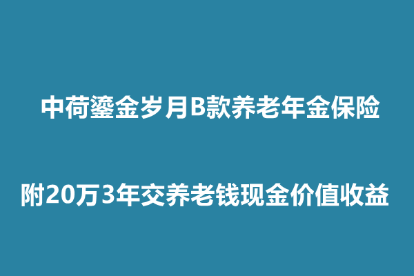 中荷鎏金岁月B款养老年金保险介绍，附20万3年交养老钱现金价值收益