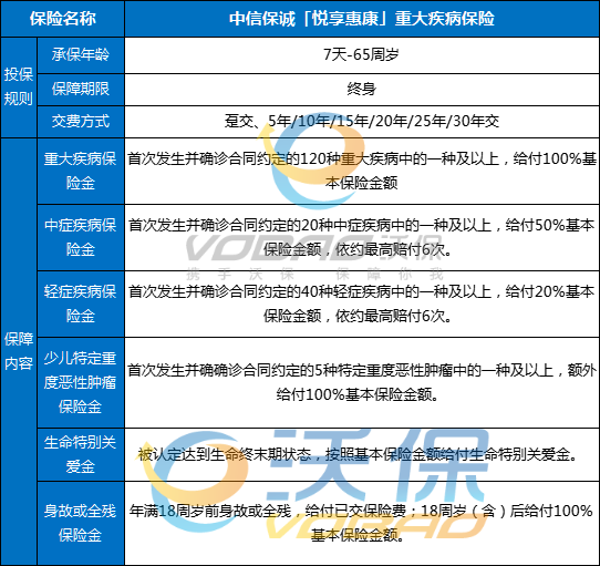 中信保诚「悦享惠康」重大疾病保险条款怎么样？多少钱？值得买吗？