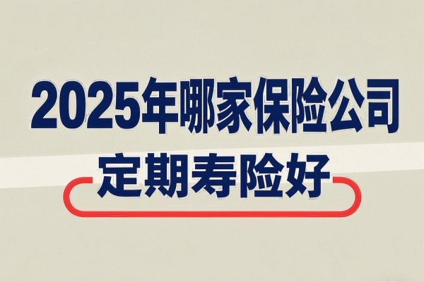 2025定期寿险哪款好：北京/华贵/同方全球定期寿险哪家性价比高？