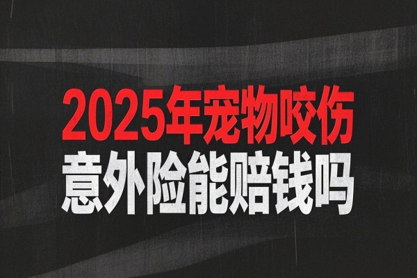 2025年宠物咬伤意外险能赔钱吗？2025年宠物咬伤能赔的意外险推荐！