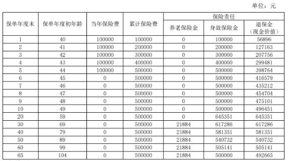 国民职工之家C款养老年金保险(互联网专属)介绍，收益如何?