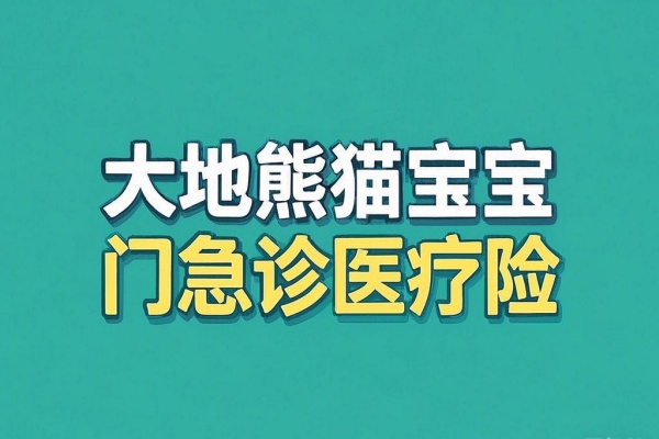 大地熊猫宝宝门急诊医疗险怎么样？有什么特色？产品测评！