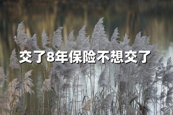 保险交了8年不想交了怎么办?必看退保止损与替代方案解析