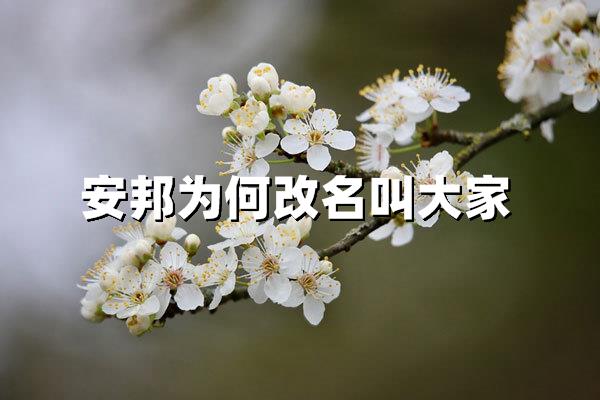 安邦为何改名叫大家？揭秘品牌重塑背后的战略转型与责任担当