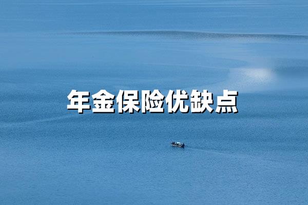 年金保险的优点与缺点分析：安全稳定与流动性之困