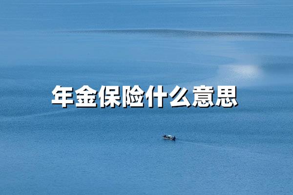 年金保险什么意思?2024年深度解析与投保指南
