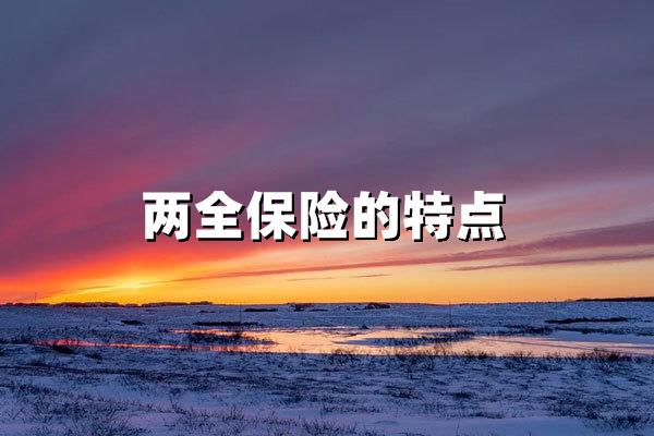 两全保险的特点包括哪些？深度解析保障与储蓄的双重价值