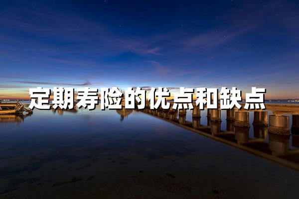 定期寿险的优点和缺点：一篇讲透高性价比保障的利与弊