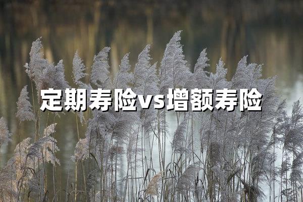 定期寿险和增额寿险的区别：如何精准匹配家庭保障需求？