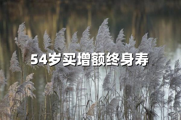 54岁适合买增额终身寿险吗？2025年投保指南与核心价值解析
