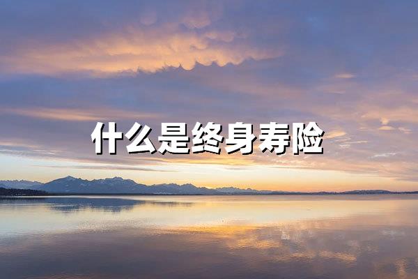 什么是终身寿险：家庭财富的终极守护者