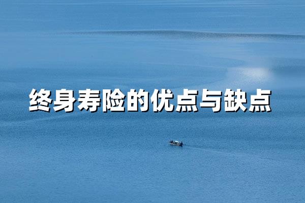 <a style='border-bottom:1px dashed;color:#337FE5;' href='//m.vobao.com/tags/1105457923297844238.shtml' target='_blank'><strong>终身寿险的优点与缺点</strong></a>：家庭财富规划前必读的六大核心分析