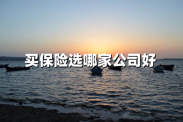 买保险选哪家保险公司比较好？2025年权威解析与推荐